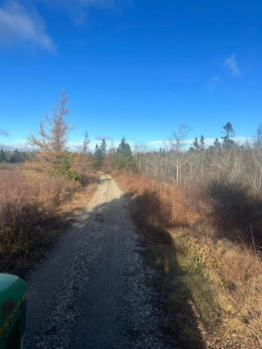 Tree Removal Landscaping, land clearing, bush cutting, and mulching trees