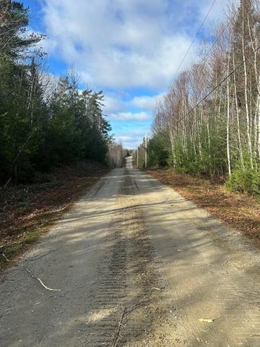 Tree Removal Landscaping, land clearing, bush cutting, and mulching trees