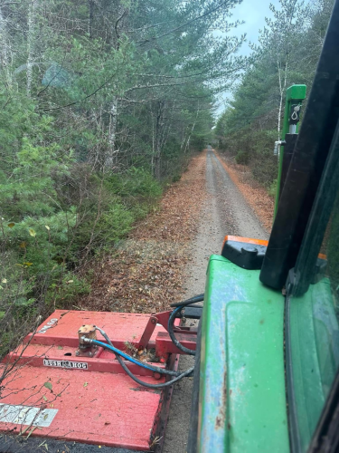 Tree Removal Landscaping, land clearing, bush cutting, and mulching trees