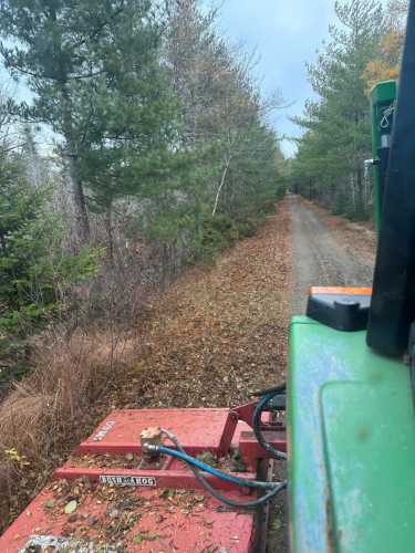 Tree Removal Landscaping, land clearing, bush cutting, and mulching trees